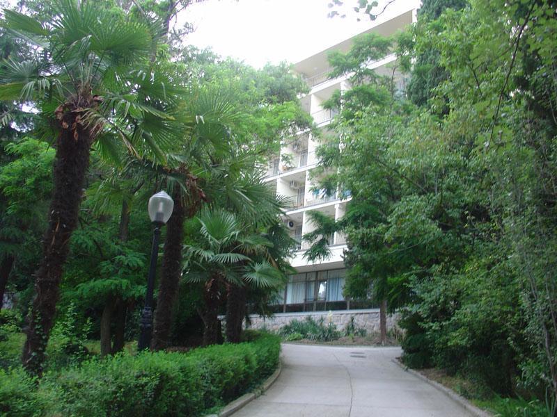 Фото Пушкино