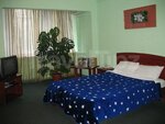 Ukrainian Hotel Service Apartments on Vokzalnaya (вулиця Митрополита Василя Липківського, 11), hotel