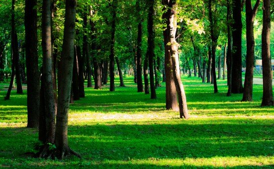 Парк культуры и отдыха Перовский парк, Москва, фото