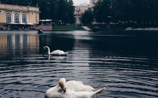 Патриаршие пруды — фото 3