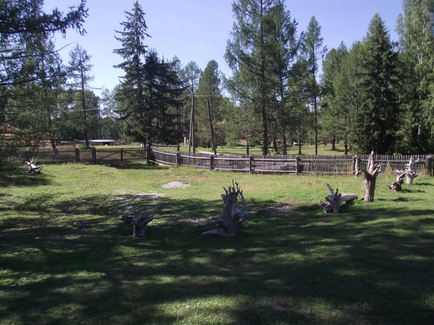 Фото Мультинское раздолье