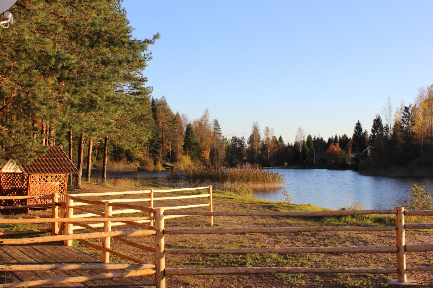 Фото Пикник