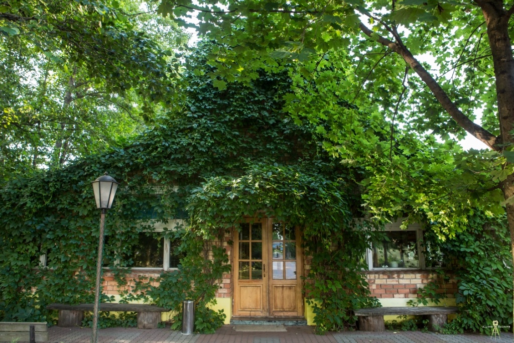 Фото отеля 5