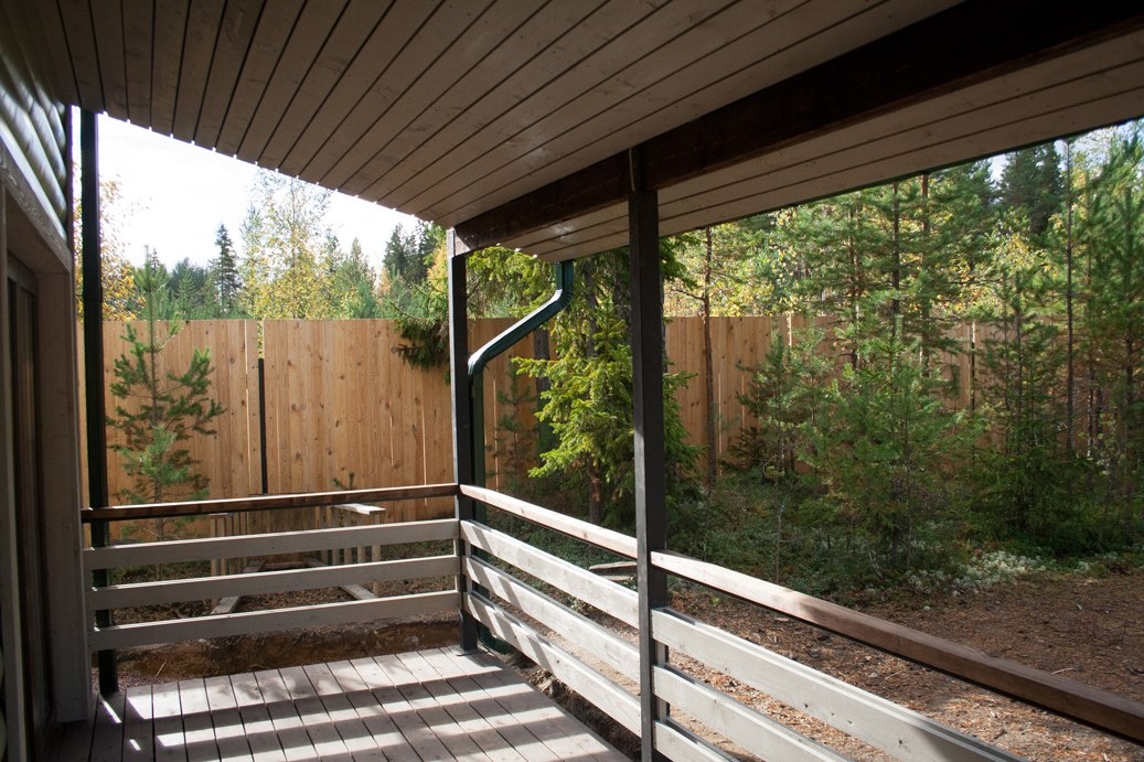 Фото Хвойный