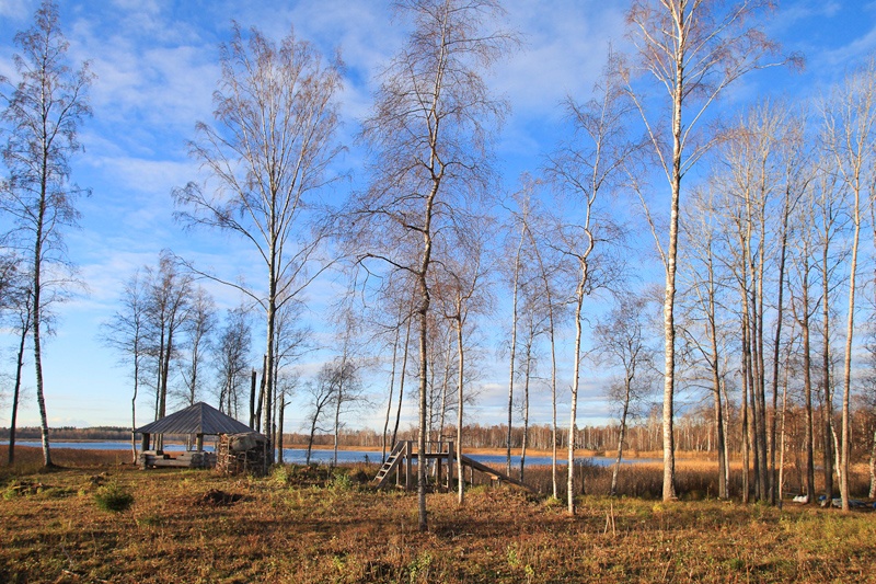 Фото Озерный берег