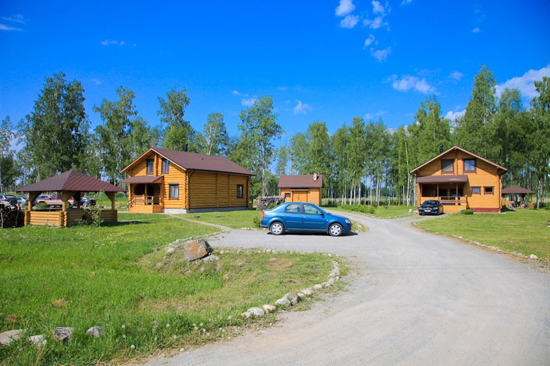 Фото Озерный берег