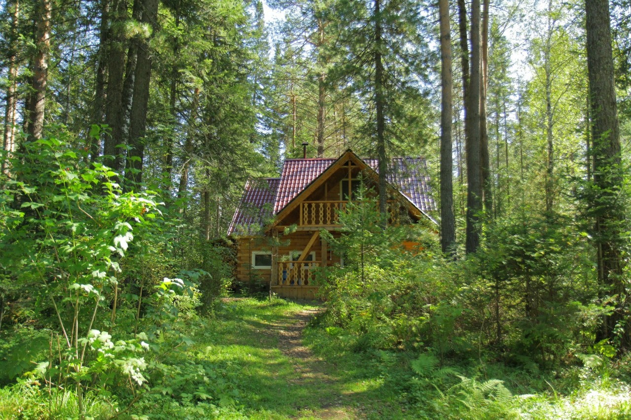 Фото Бия заповедная