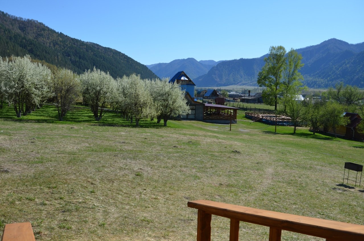 Фото Горный источник