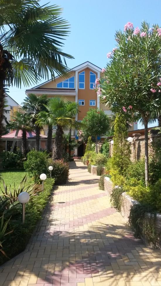 Фото Дельфин