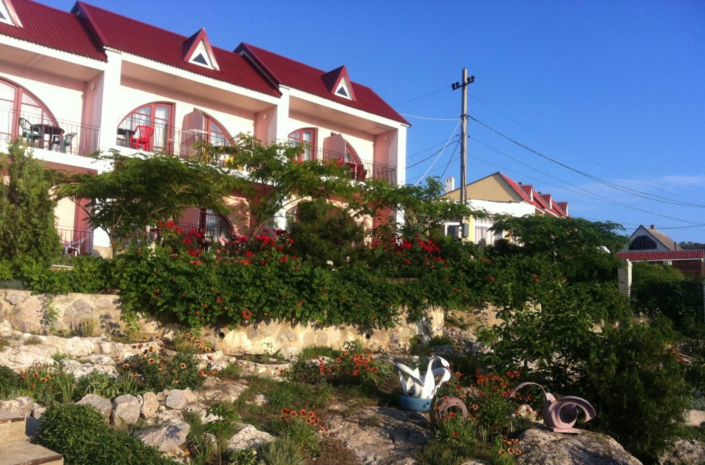 Фото Регата