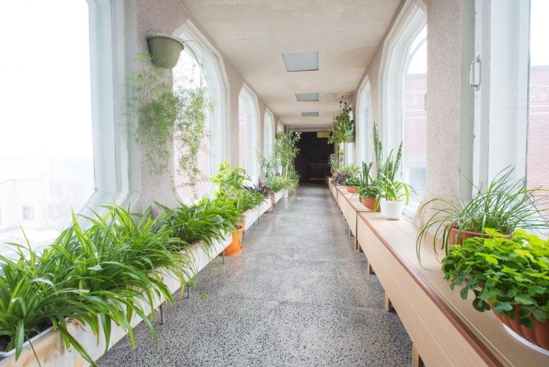 Фото Изовела