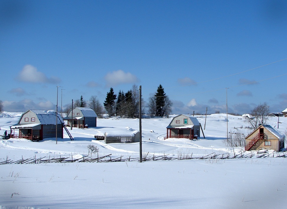 Фото Кохтусельга