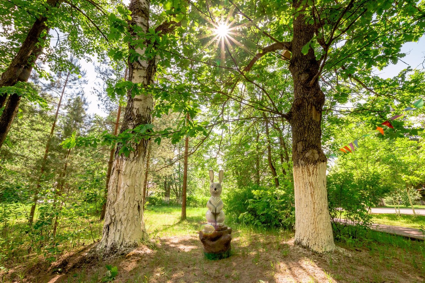 Фото ВКС-Кантри