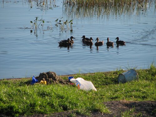 Иное жильё У плотника в Кондопоге