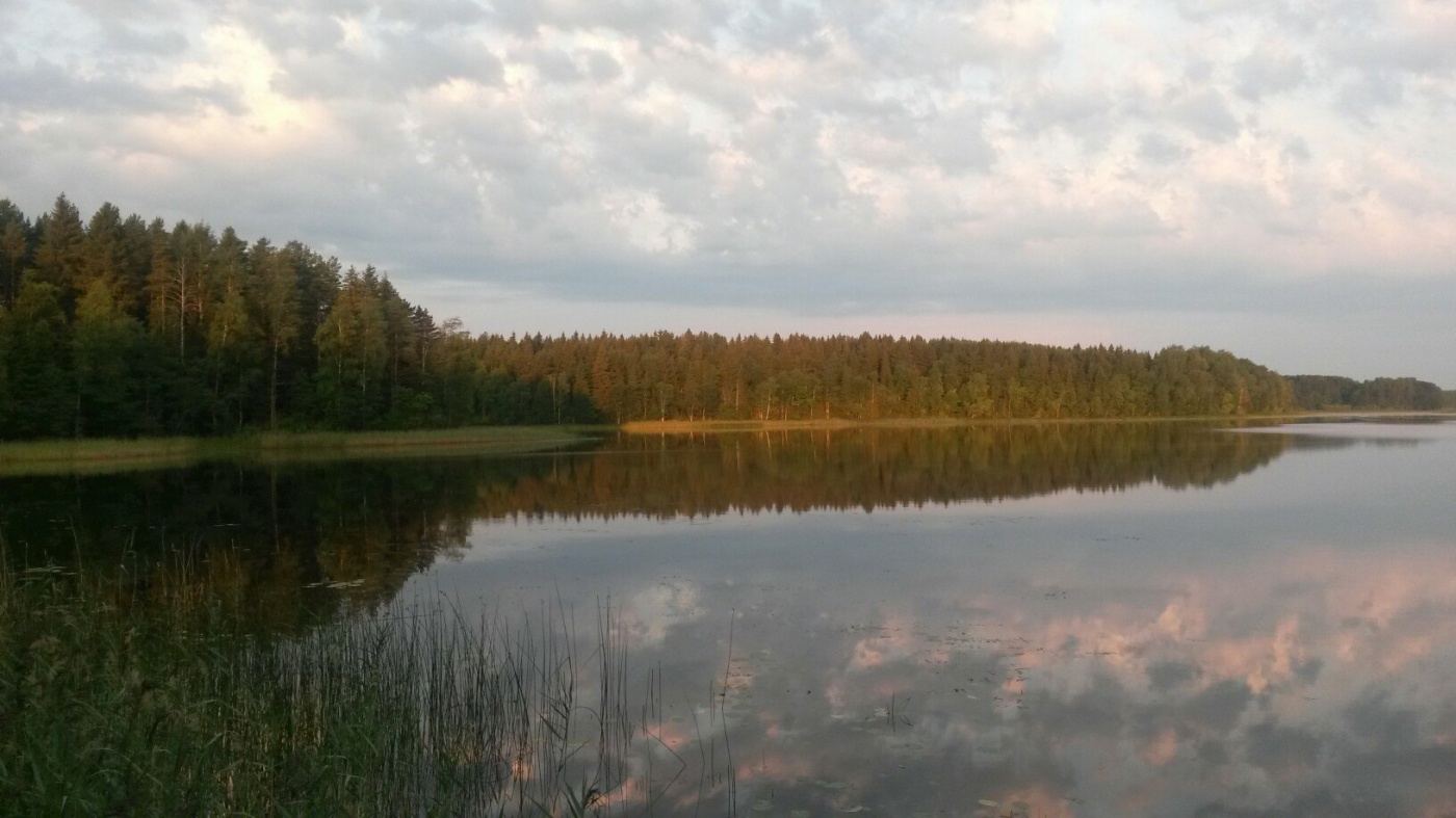 Фото Селигерское Заплавье
