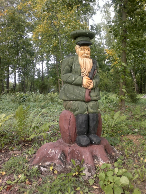 Фото Берёзовая роща