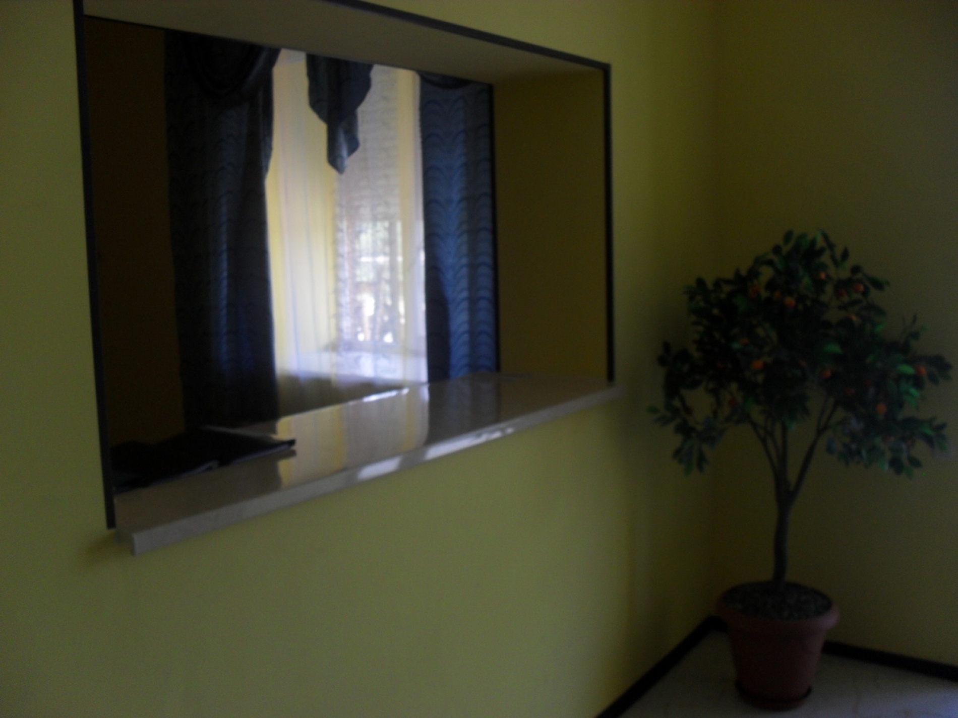 Фото Парамон