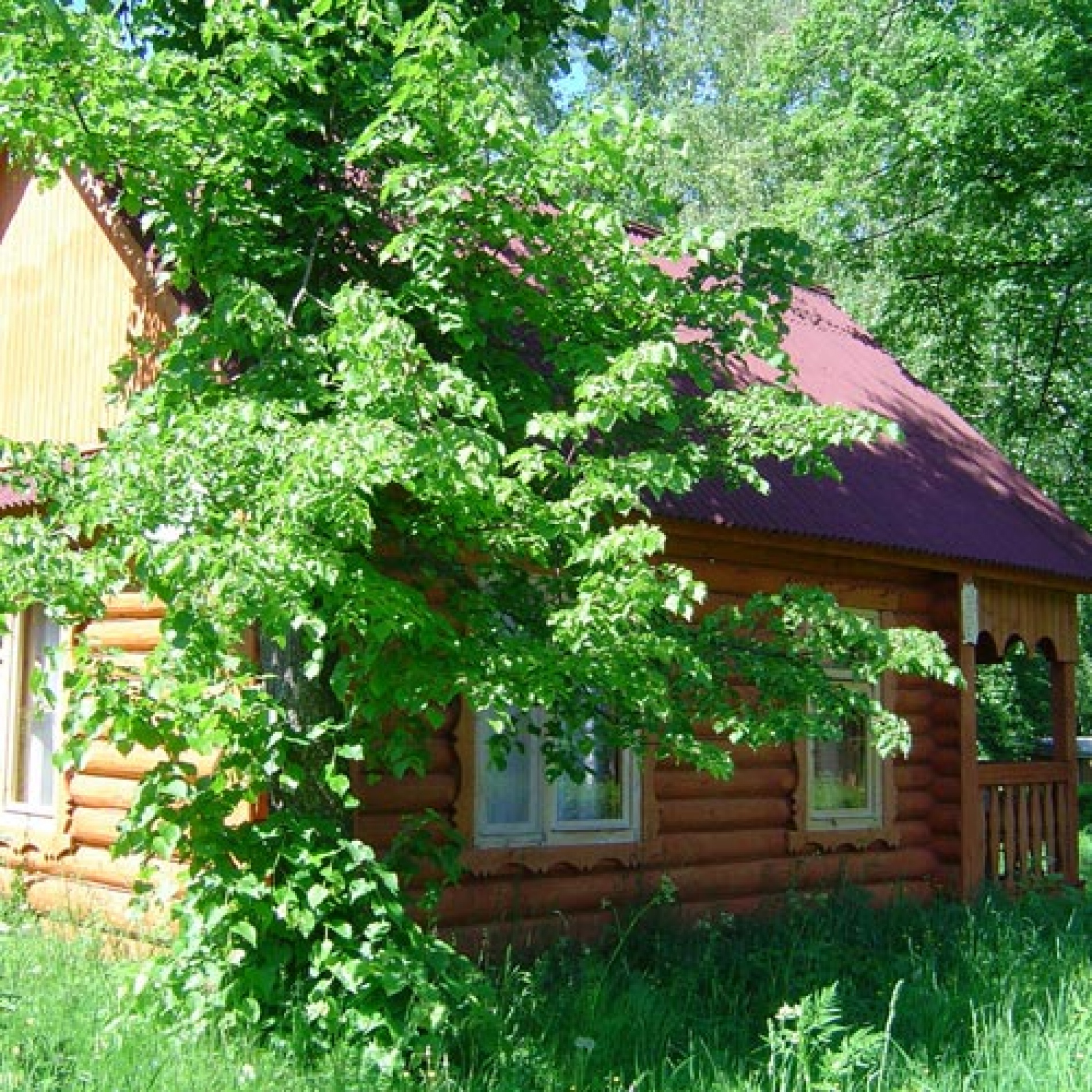 Фото Васильсурский