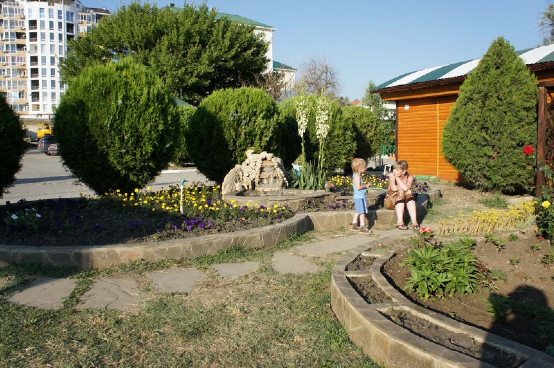 Фото Афалина