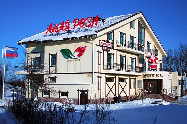 Фото Алая роза