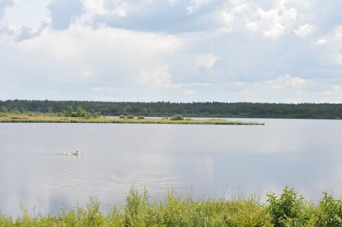 Гостиница Агрокультурный-туристический комплекс Богдарня во Владимирской области
