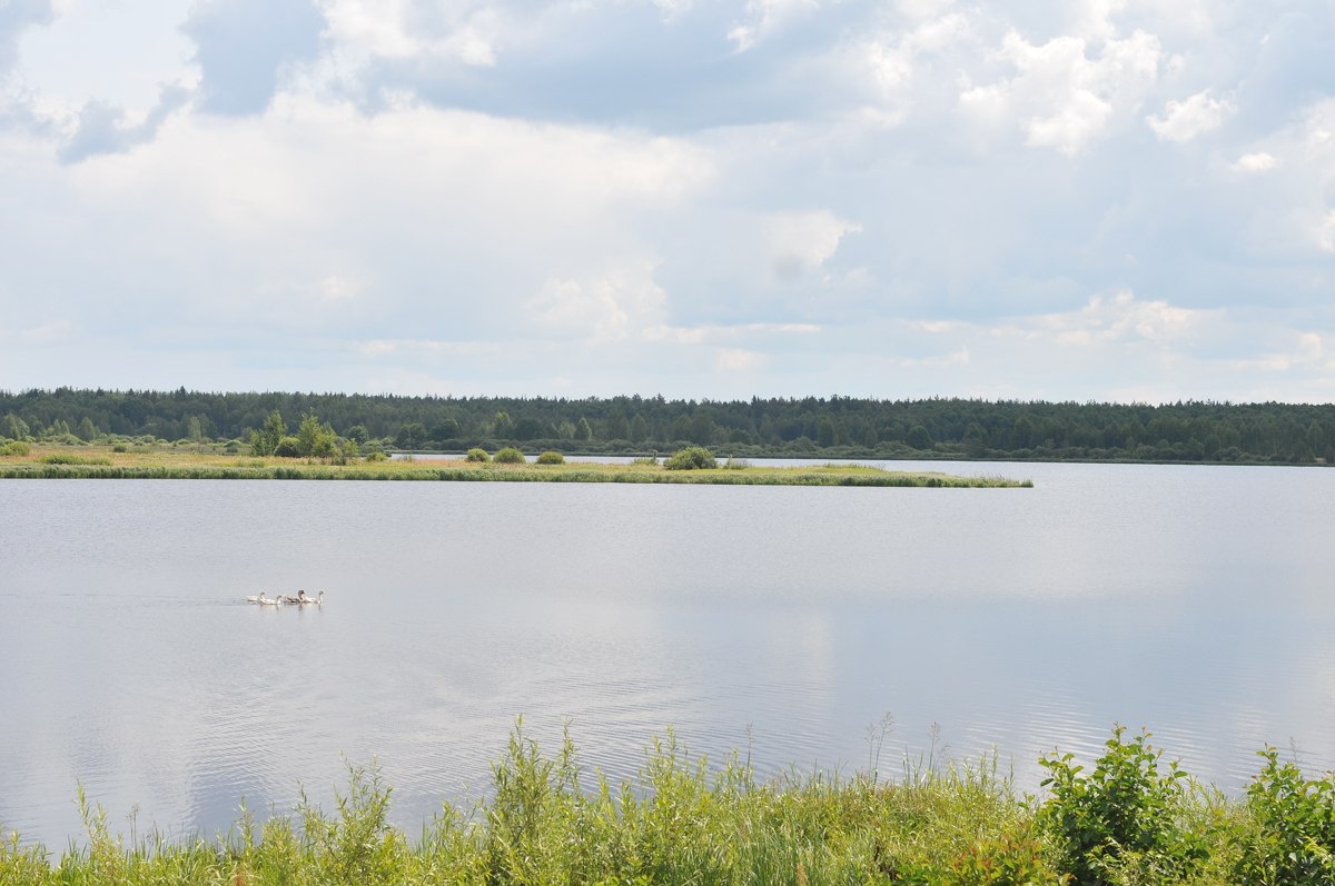 Фото Агрокультурный-туристический комплекс Богдарня