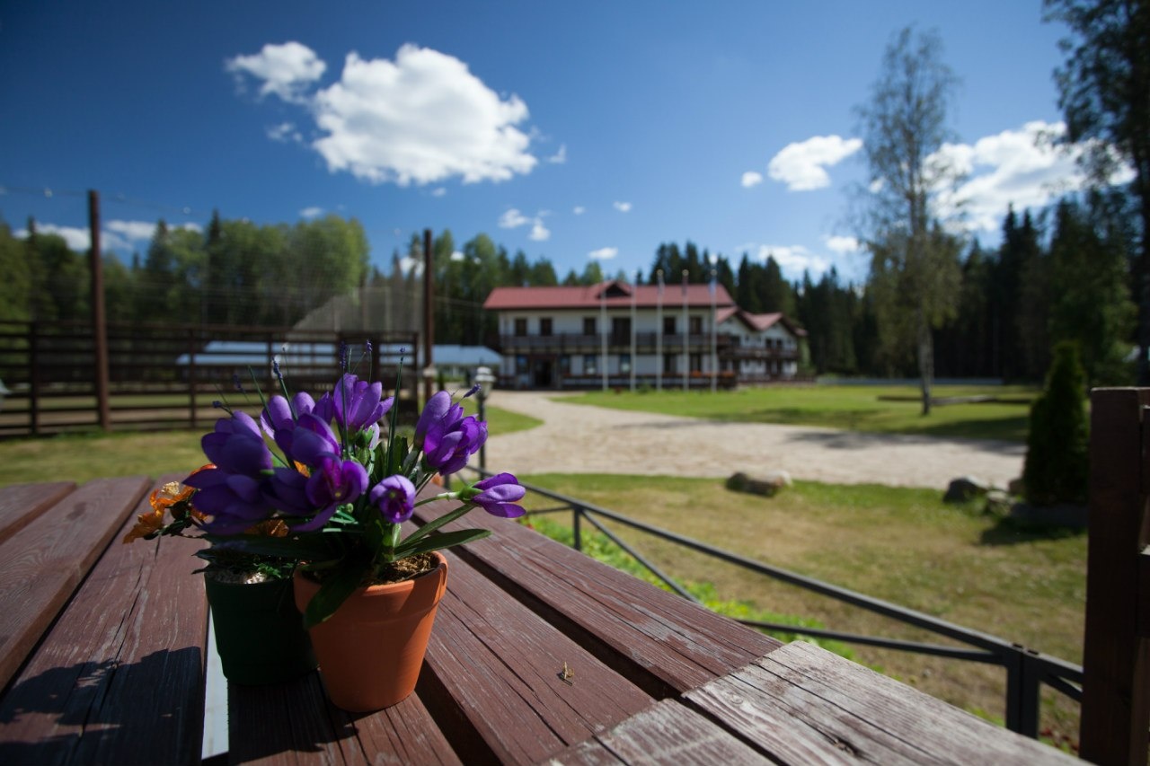 Фото Отель-клуб Гардарика