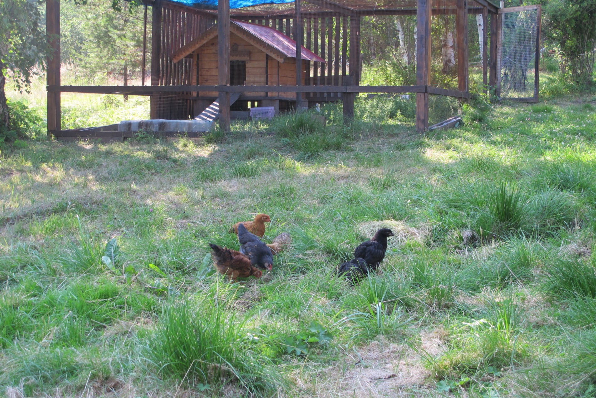 Фото Кругобайкальская