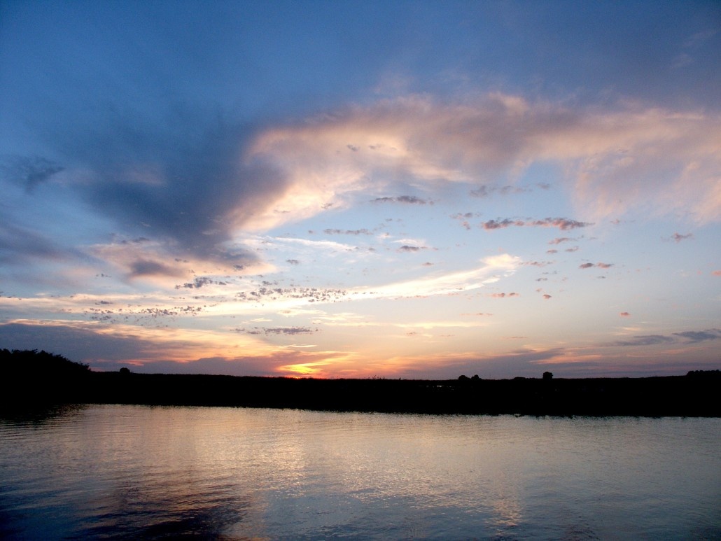 Фото Золотой Лотос