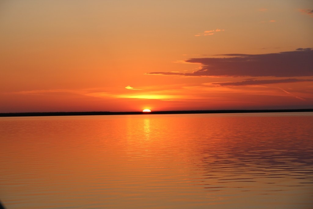 Фото Золотой Лотос