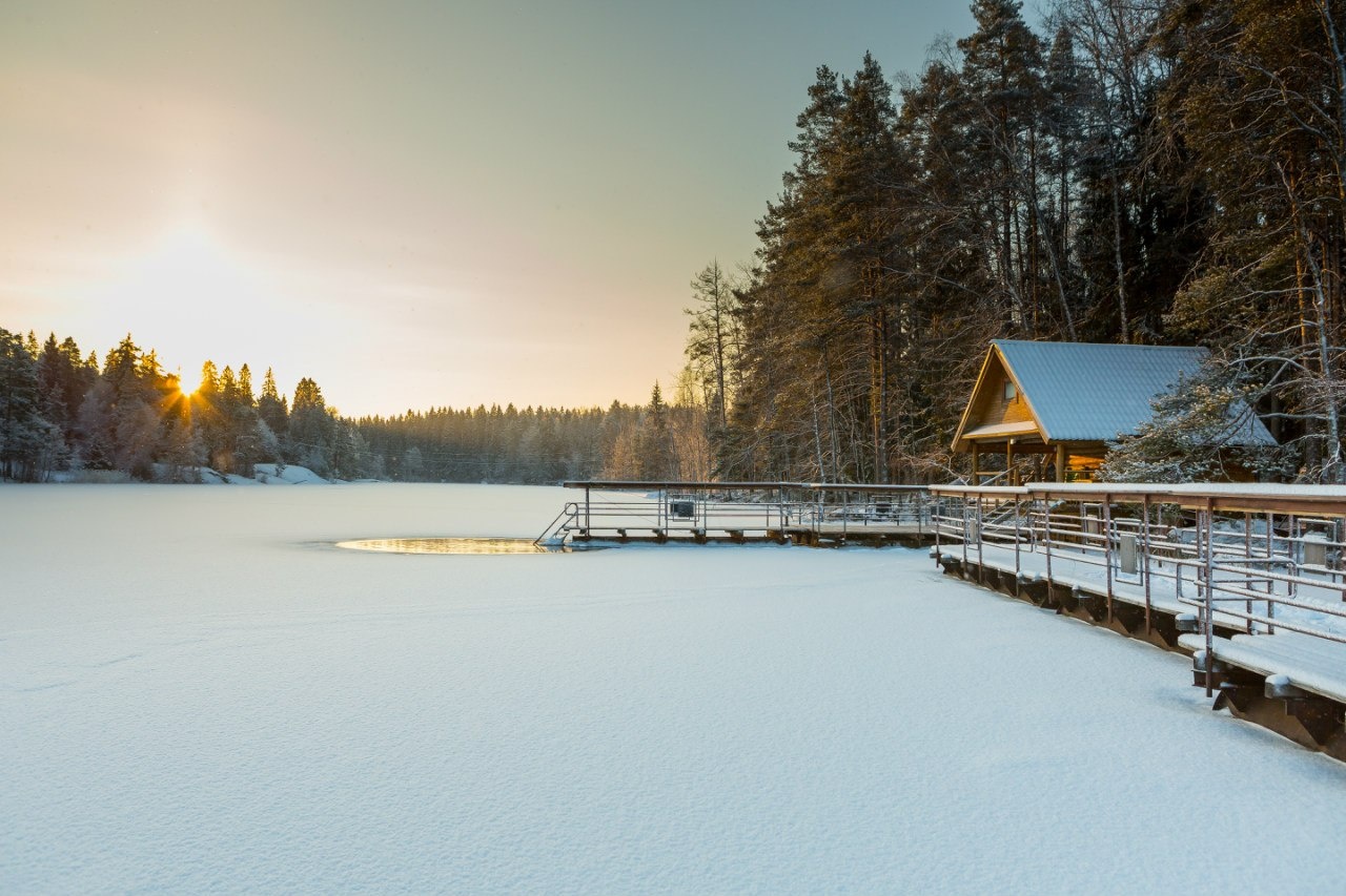 Фото Лесная сказка