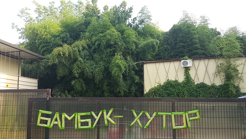 Фото Бамбук хутор