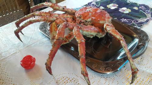 Фото Николина