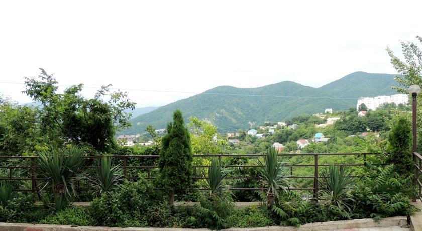 Фото Звездный