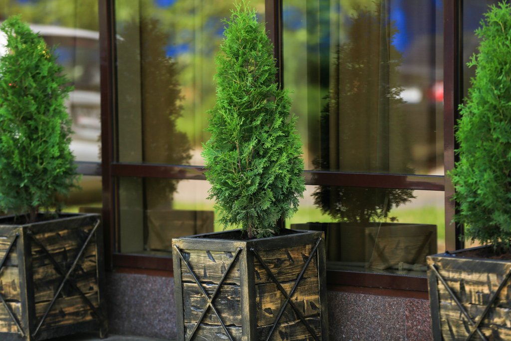 Фото Фидель