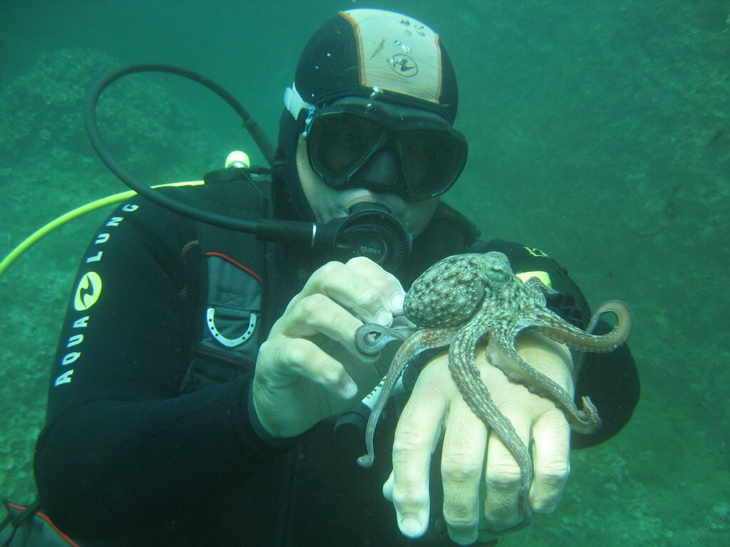 Diving Dayving klub Nemo, Lviv, photo