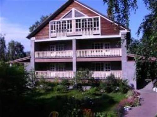 Фото Рыжий пёс