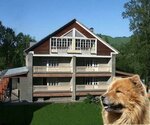 Red Dog (Promyshlenny pereulok, 14/1), hotel