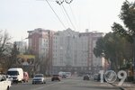 Turagentstvo Dolce Vita-tur (Микулинецька вулиця, 3А), travel agency