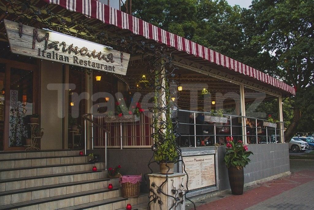 Фото Магнолия