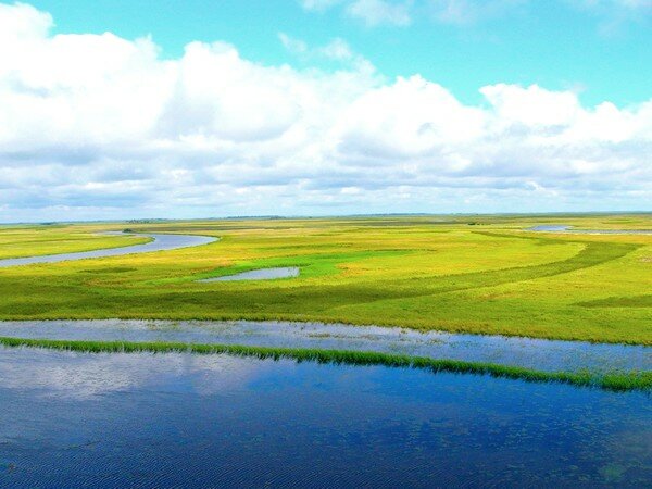 Reserva de la naturaleza Gosudarstvenny prirodny zapovednik Bolonsky, , foto