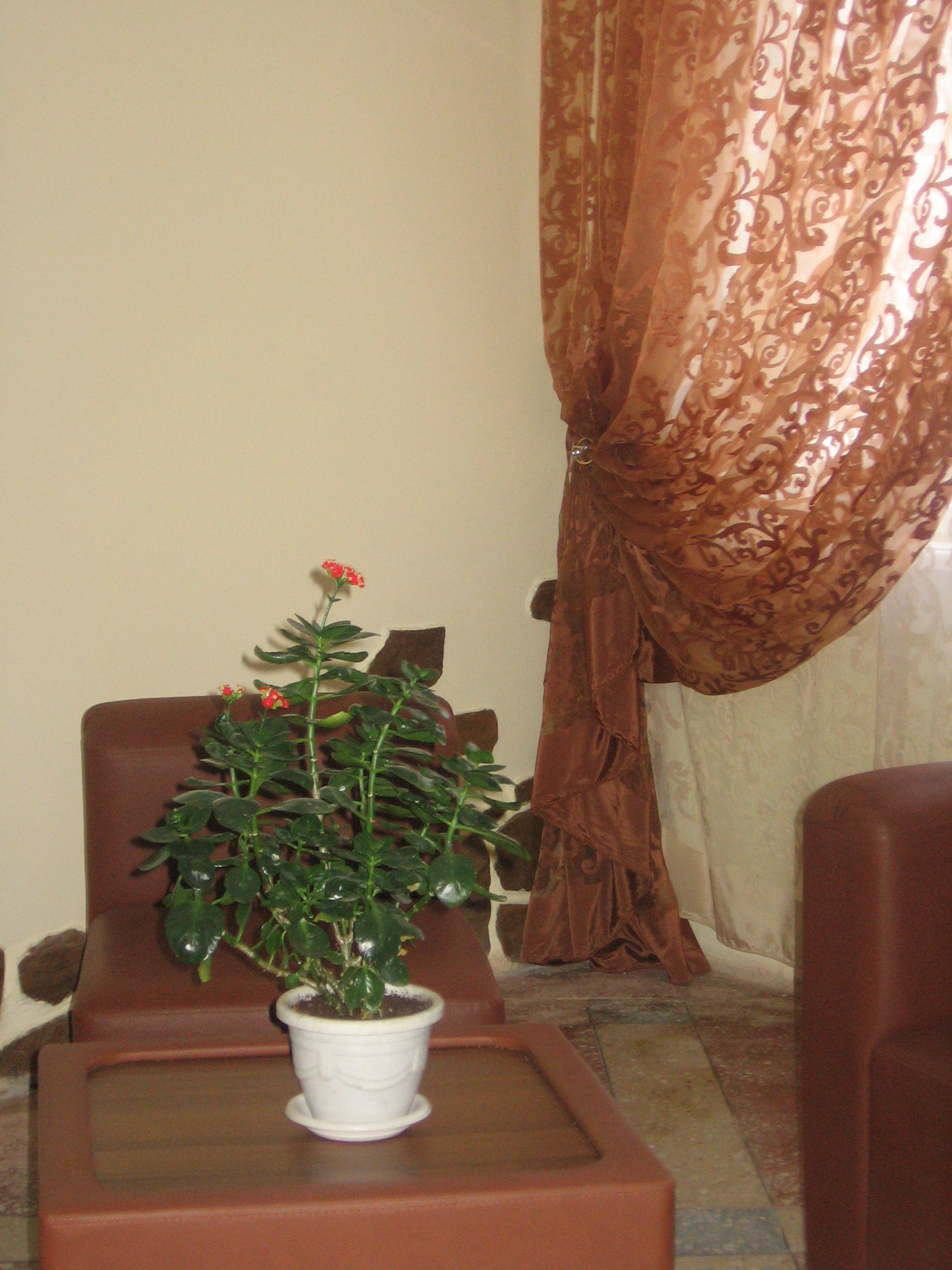 Фото Гостиница Софрино