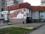 Akkumulyatorny mir (Kozatska vulytsia, 27), auto parts and auto goods store