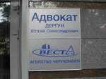 Advokat Dergun V. A. (Henerala Almazova Street, 8) ، محامي