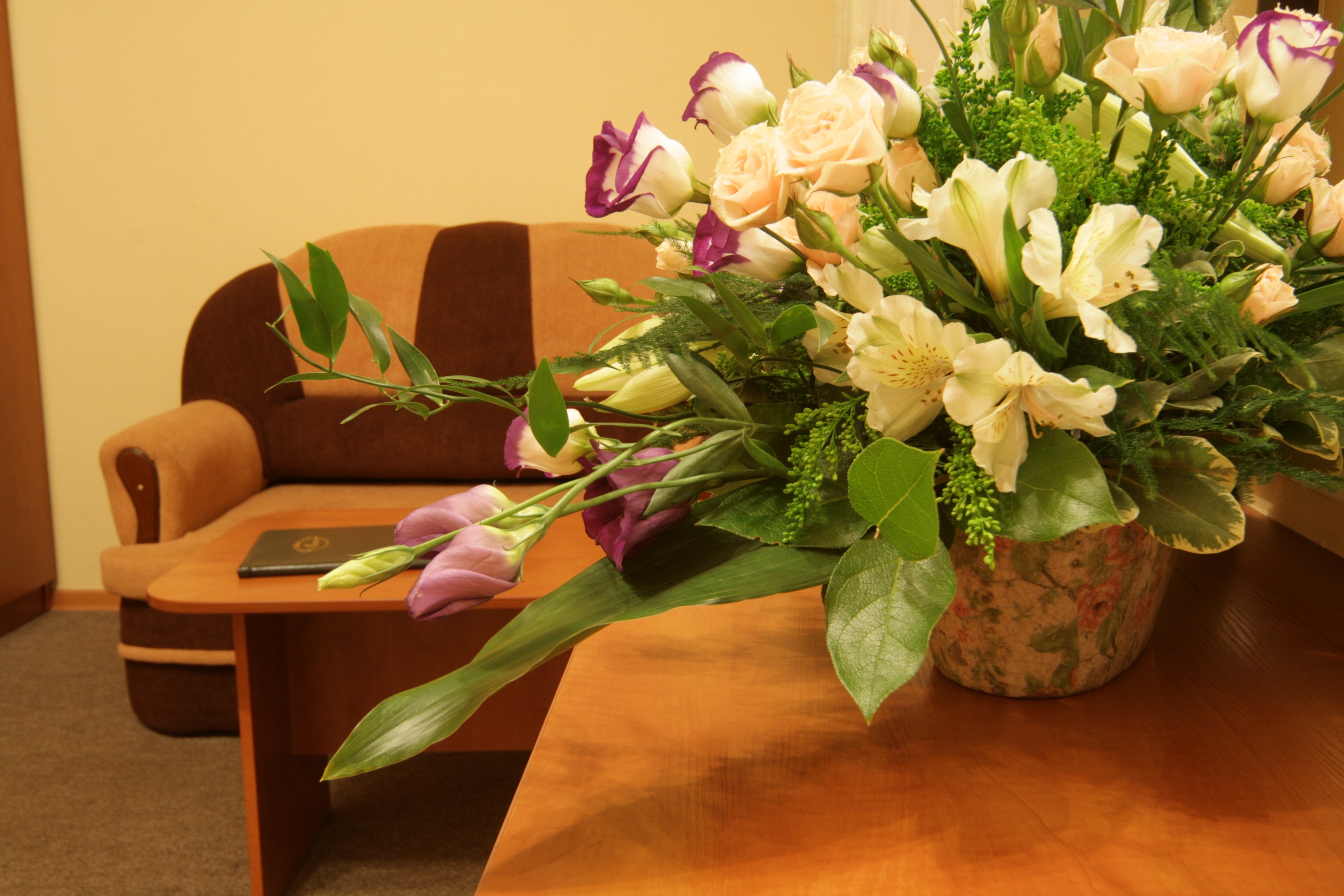 Фото Green hotel