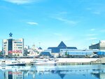 Expocentre (Krasnopresnenskaya Embankment, 14), organization and maintenance of exhibitions