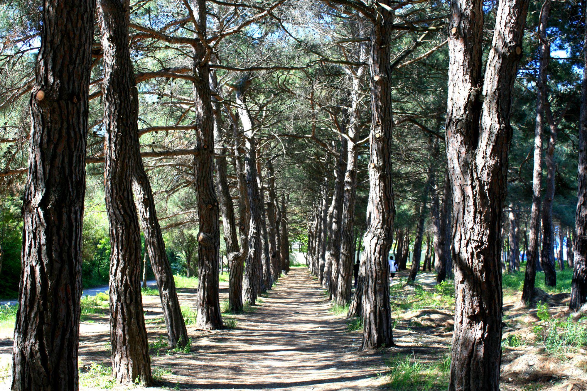 Фото Голубая бухта