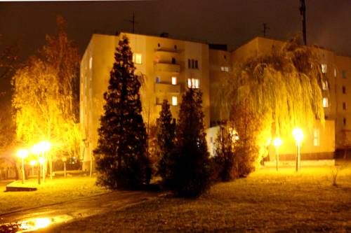 Фото Юность