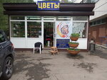 Magazin tsvetov (Settlement of Zvyozdniy Gorodok, 23), flower shop