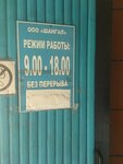 Alena (ulitsa Poskonkina, 28Б), grocery
